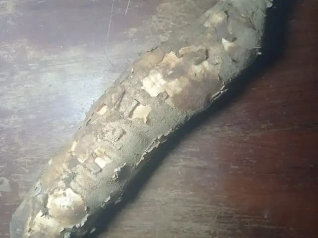 Como Congelar Mandioca sem Endurecer: prato pronto