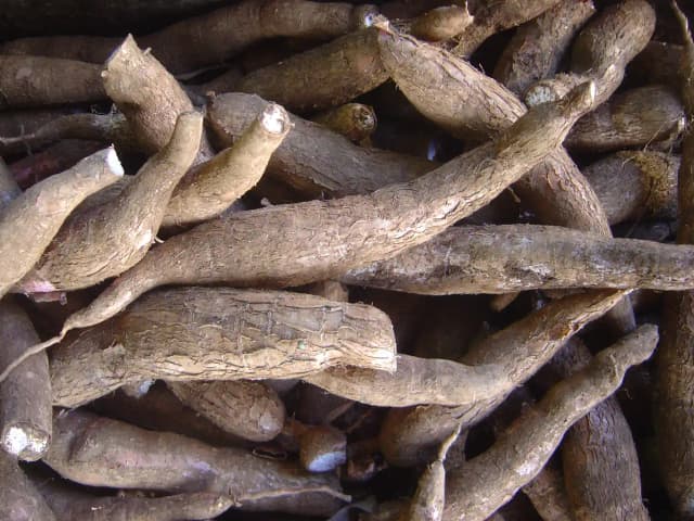 Como Escolher Mandioca Macia e Cozinhar Rápido: prato pronto