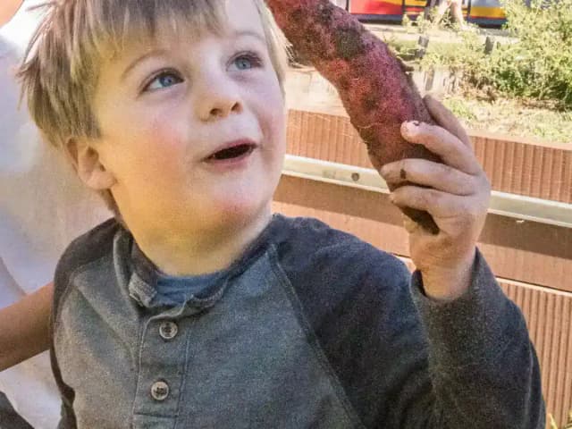 Como Tirar o Sal da Comida: o Truque da Batata: prato pronto