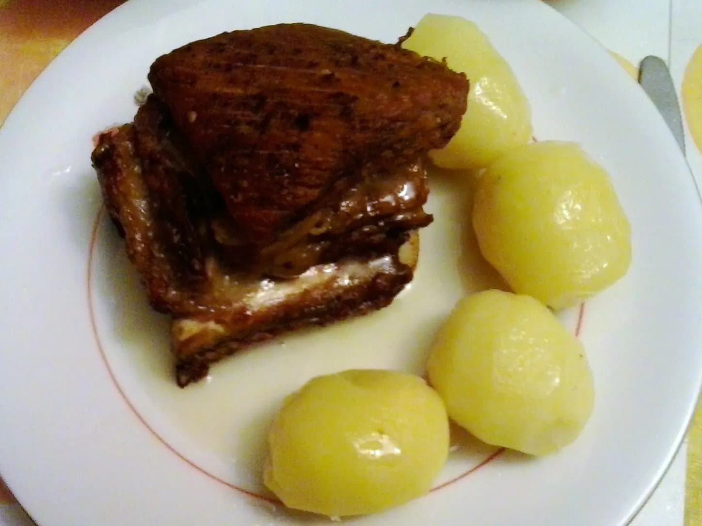 Costela Borboletinha no Forno Suculenta e Macia: foto do prato pronto