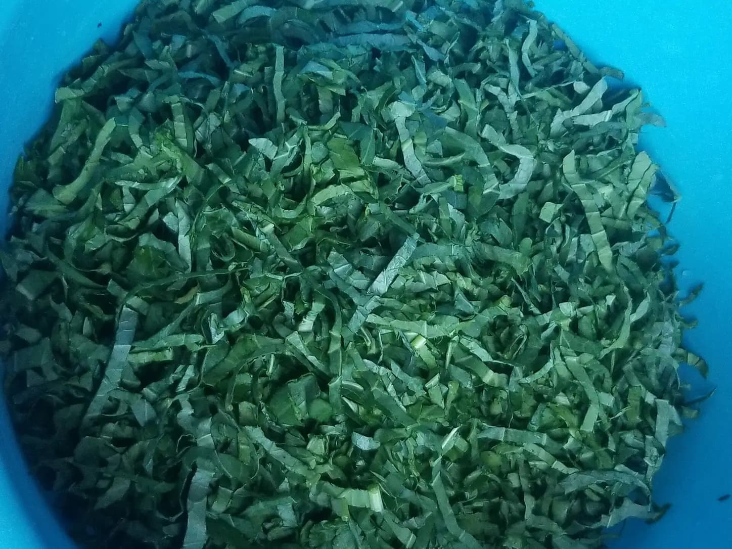 Couve Refogada Crocante: 4 Ingredientes e Zero Amargor: foto do prato pronto