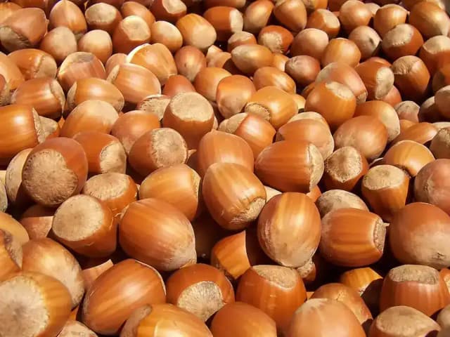 Creme de avelã caseiro com cacau puro: prato pronto