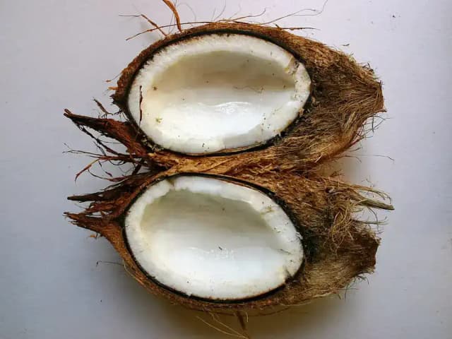 Manjar de coco com calda de ameixa: prato pronto