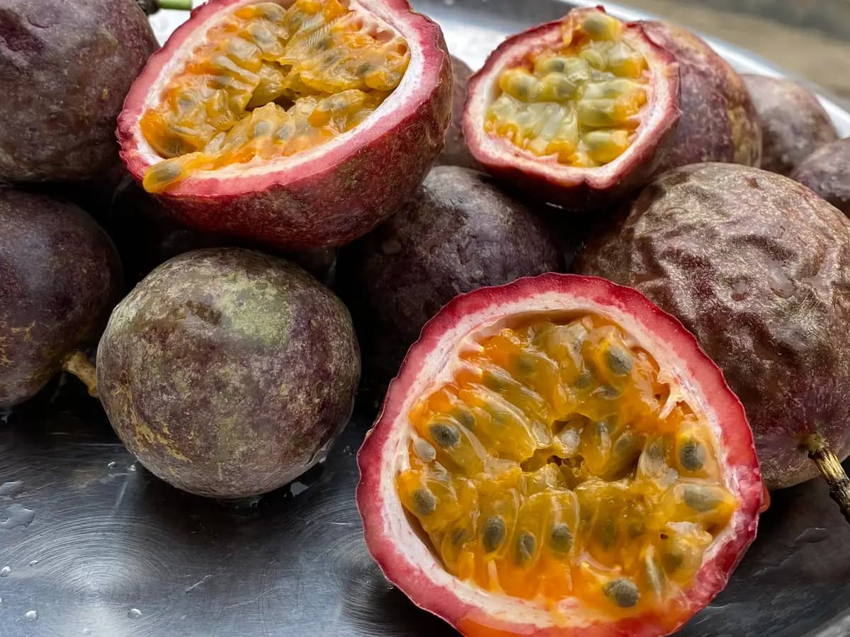 Mousse de maracujá com iogurte: 10 taças sem condensado: foto do prato pronto