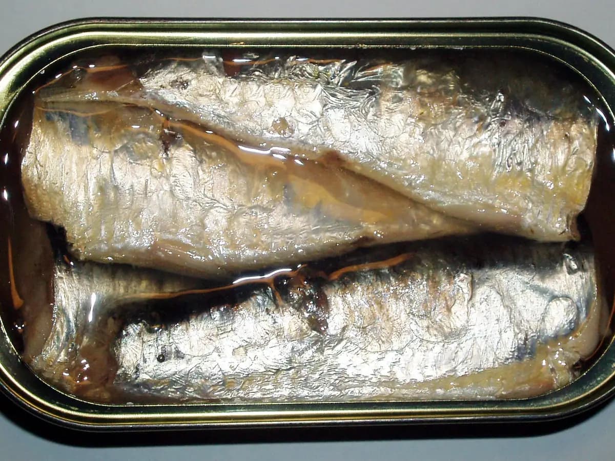 Pizza de sardinha de liquidificador com muçarela: foto do prato pronto