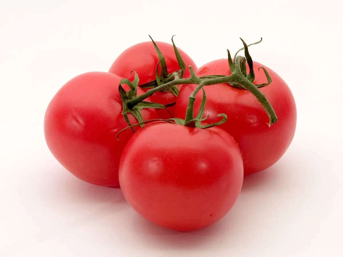 Vinagrete para feijoada com tomate e limão: foto do prato pronto