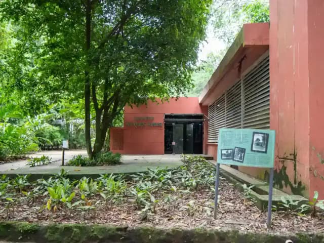 Como Fazer Pirarucu: prato pronto