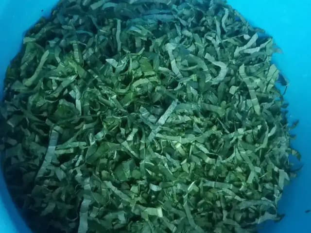 Couve Refogada Crocante: 4 Ingredientes e Zero Amargor: prato pronto