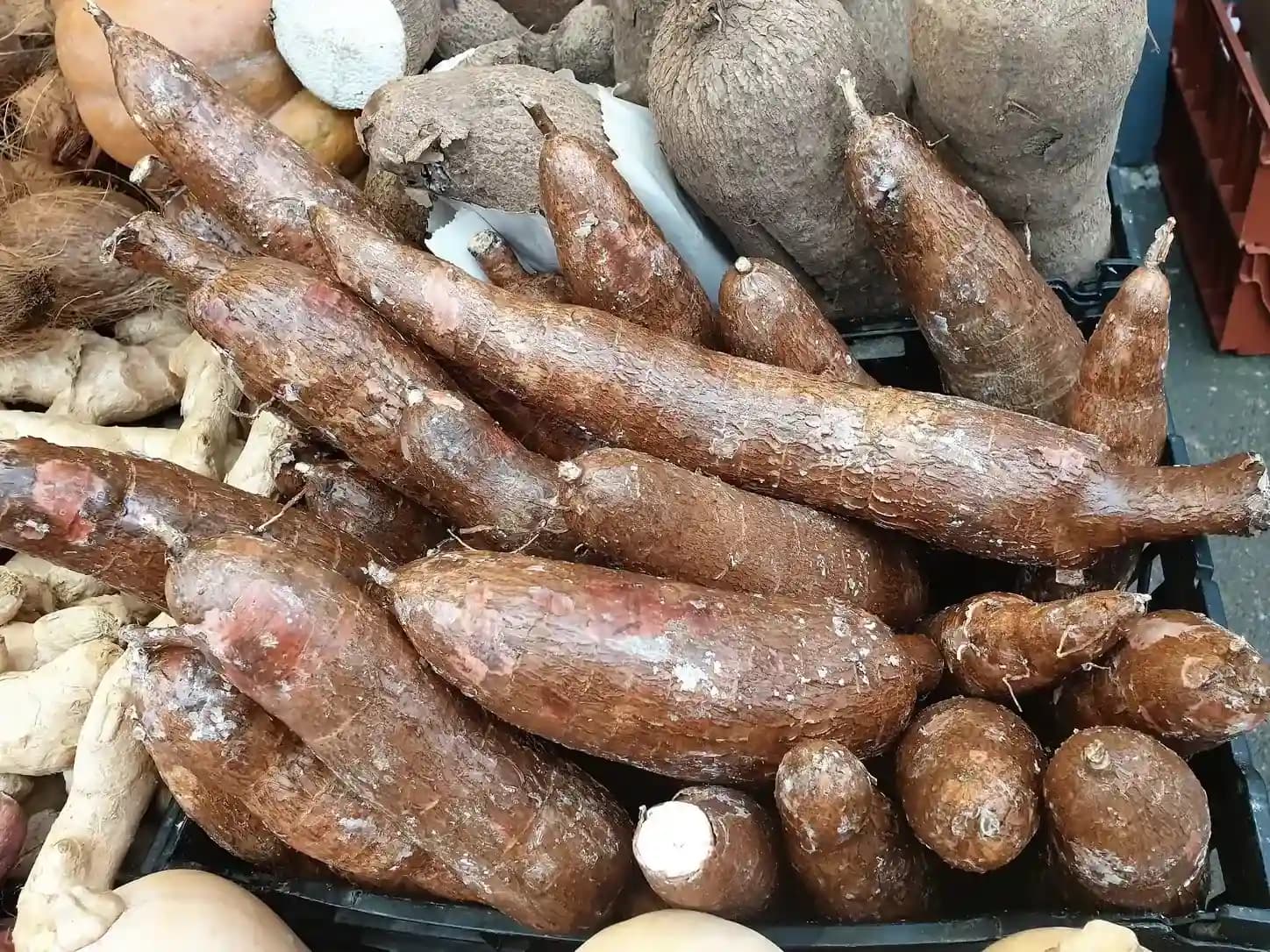 Mandioca Assada Crocante: foto do prato pronto