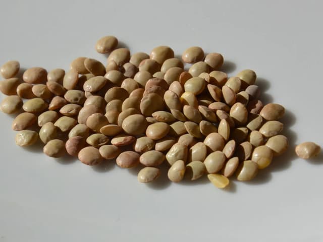 Sopa de lentilha com legumes: 6 porções: prato pronto