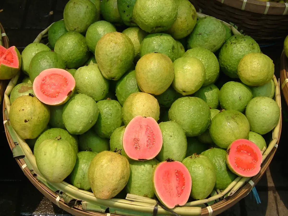 Suco de goiaba com casca: 4 copos sem coar: foto do prato pronto