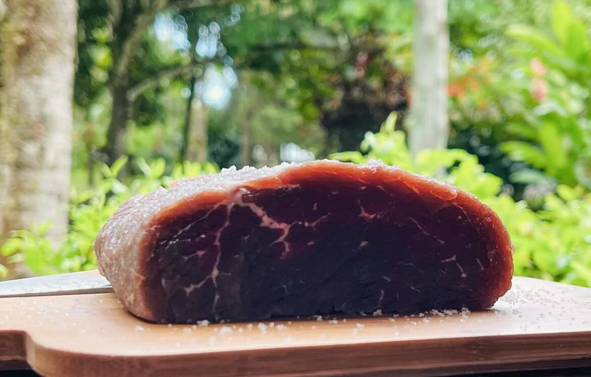 Carne de sol bem temperada e pronta para servir