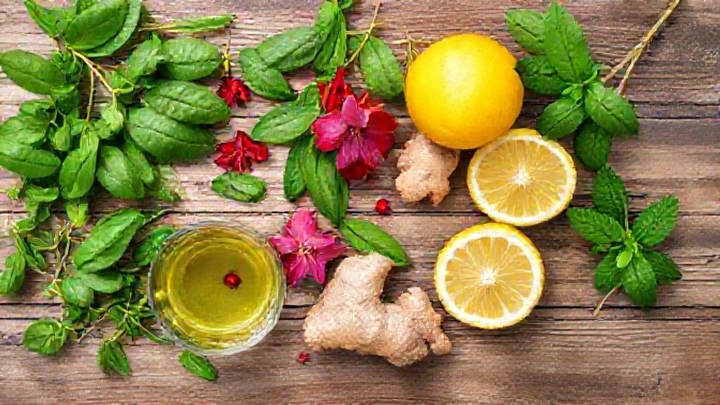 Ingredientes organizados em uma superfície: chá verde, hibisco, gengibre, limão e hortelã
