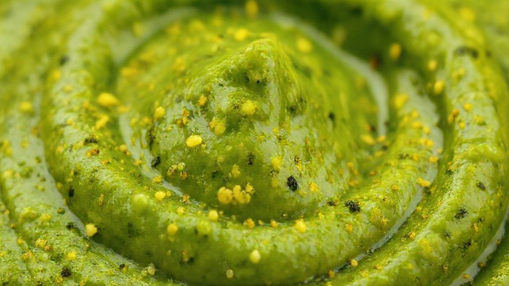 Close-up mostrando a textura cremosa e colorida do tempero pega marido pronto