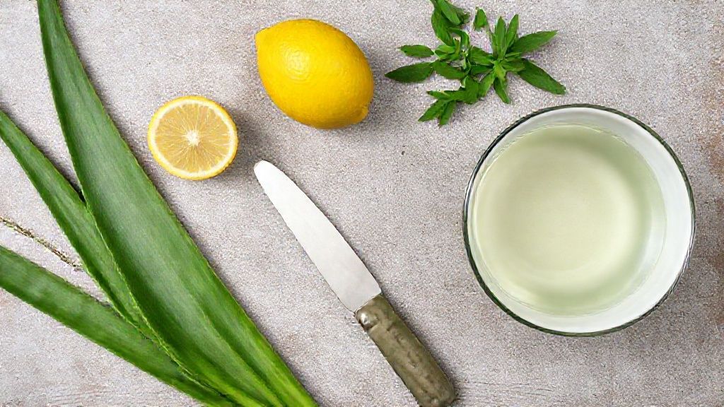 Visão de cima com folha de babosa fresca, faca, tigela com água e limão organizados sobre bancada de madeira