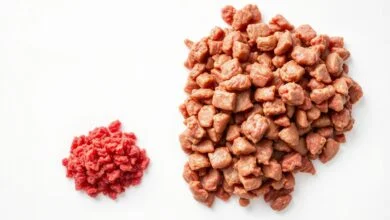 Comparação visual entre carne moída fresca de cor vermelho-vivo e carne moída estragada com aparência acinzentada e textura viscosa.